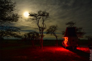 Central Kalahari Game Reserve CKTAU02