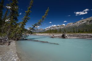 Kootenay National Park Canada